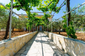 Apartments Iva - 150m from the beach